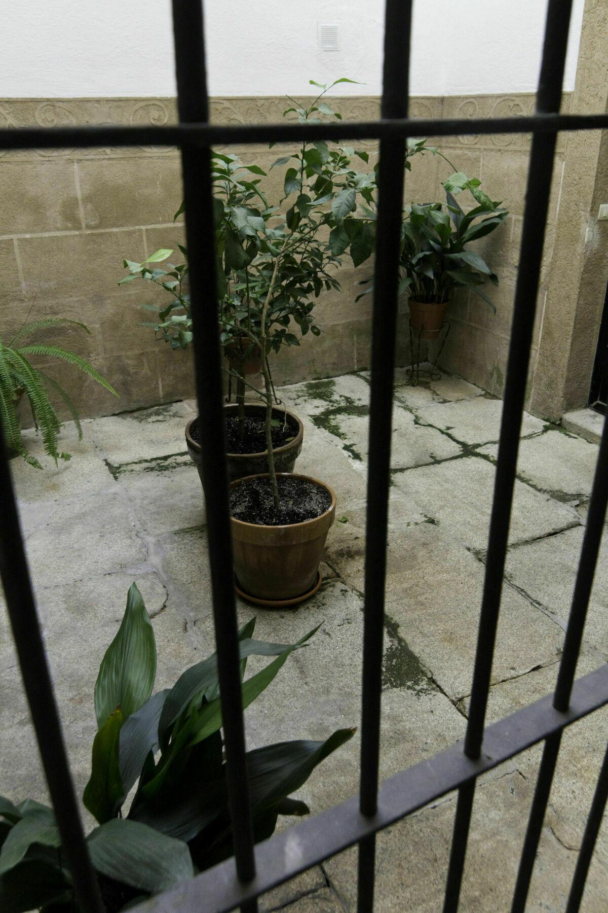 Casa Conde De Santa Olalla Касерес Экстерьер фото